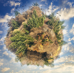 Autumn planet with sky background