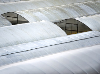 Big greenhouses covered with plastic foil