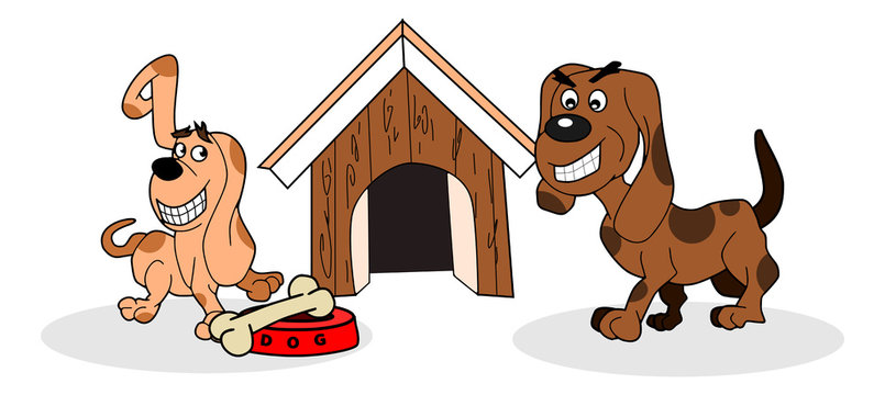 Twee honden en een bot