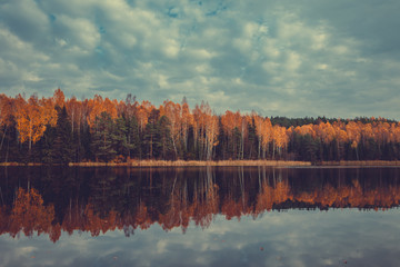 Autumn forest with yellow trees and lake, cloudy sky. Retro tone