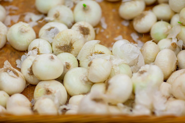 garlic