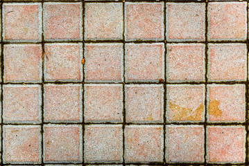 Concrete or cobble gray pavement slabs or stones.