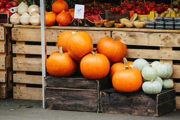 Street City Market. Pumpkin and squash stacked in wooden boxes. Vegetable Market. In the market sold vegetables and fruits. Healthy ecological food.