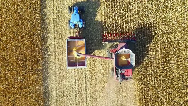 Harvesting Corn with a Combine