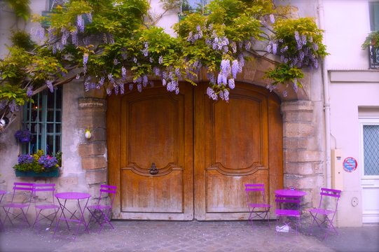 Wisteria Around Door