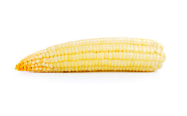 Corn on white background