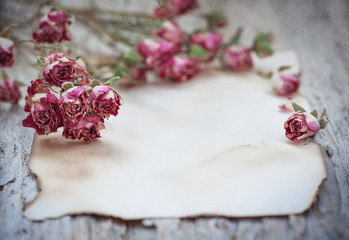 Vintage textured background with old paper dry tea roses