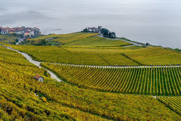 Vigneti di Lavaux