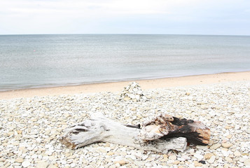 Seashore in Estonia