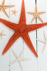 Fototapeta na wymiar starfish on white wood