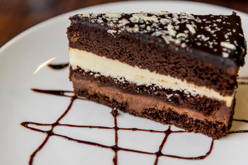 Slice of chocolate cake on plate