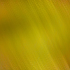 abstract yellow background texture