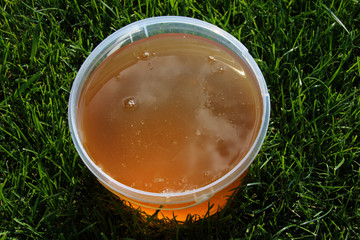 Plastic bucket with freshly collected herbal honey on the mown l © argot