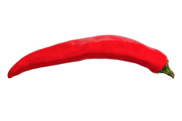 Red Chilli on a white background