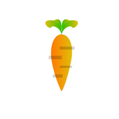 Carrot Vector