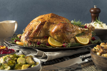 Homemade Thanksgiving Turkey Dinner © Brent Hofacker
