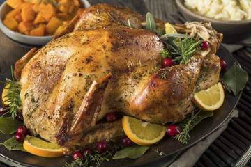 Homemade Thanksgiving Turkey Dinner © Brent Hofacker
