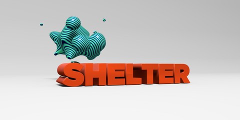 SHELTER -  color type on white studiobackground with design element - 3D rendered royalty free stock picture. This image can be used for an online website banner ad or a print postcard.