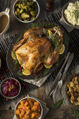 Homemade Thanksgiving Turkey Dinner © Brent Hofacker