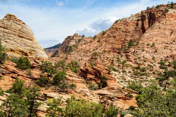 Fototapeta premium Zion National Park