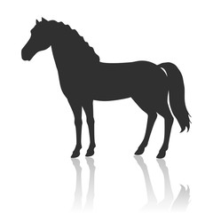 Horse Vector Illustration in Flat Design