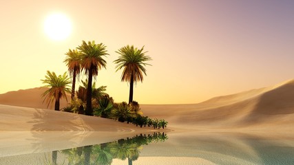 Oasis in the desert sand. Palm trees and a lake.
