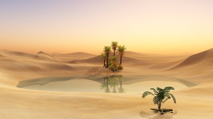 Oasis in the desert sand. Palm trees and a lake.
