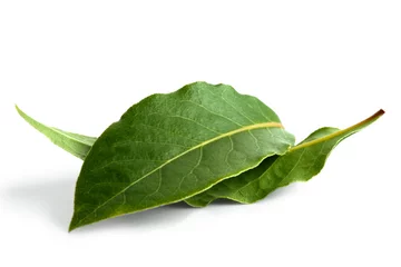 Fototapete Rund Two bay leaves isolated on white. © Moving Moment