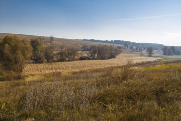 Fototapeta premium autumn country hilly landscape
