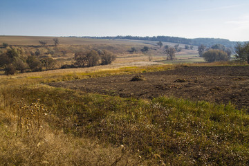 autumn country hilly landscape