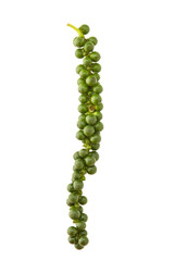 Green peppercorns