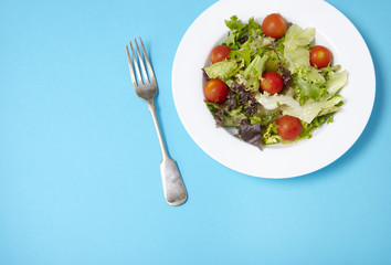 A dish full of classic garden salad on a bright blue background with fork and blank space at side