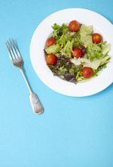 A dish full of classic garden salad on a bright blue background with blank space below