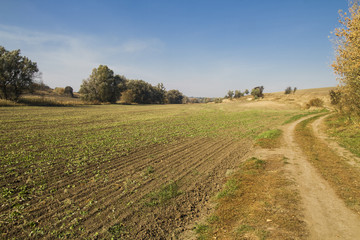 Fototapeta na wymiar country road in the countryside