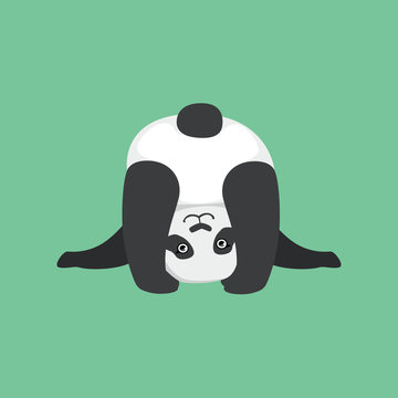 Cute Panda (12 Animated GIFs) – Toon Characters