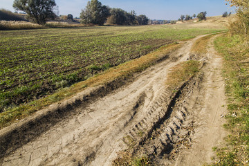 country road in the countryside