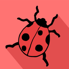 ladybug icon