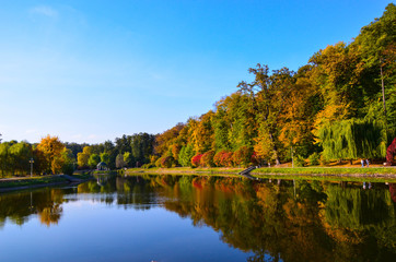 Autumn foliage, maple tree branches against lake and sky. Sunny day in park.