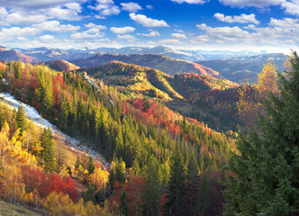 Golden Forest Ridge Sokilsky - obrazy, fototapety, plakaty