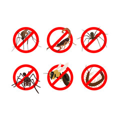 6 dangerous insects such as mosquito, scorpion, spider, ant, bee, centipede