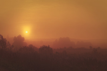 Fototapeta premium Sonnenaufgang im Nebel