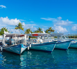 Fototapeta na wymiar Parking traditional Dhoni boats, Maldives