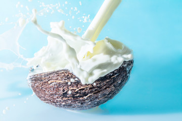 Coconut with milk splash on a blue background, splashing milk in coconut