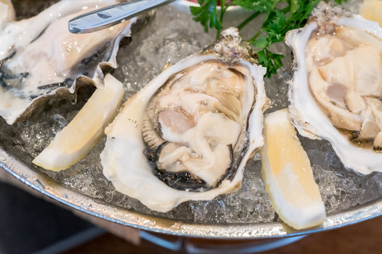Fresh oysters in a white plate with ice
