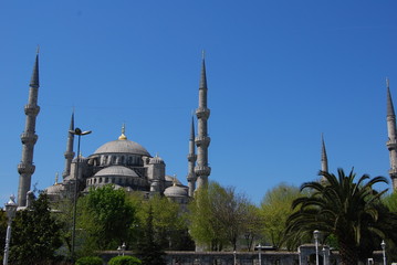 Fototapeta na wymiar Istanbul, Turkey Sultan Ahmed Mosque, Blue Mosque