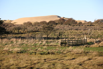 Sand dunes on the coast of Jutland, Denmark