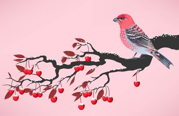 Pink bird on cherry branch