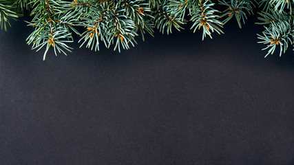 Christmas fir tree with decoration on black background