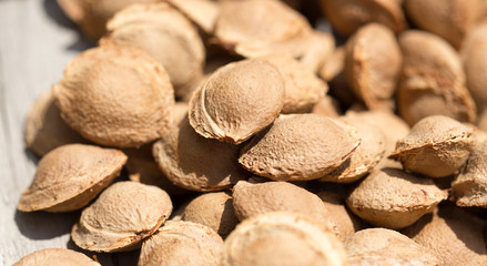 nuts from apricots as background