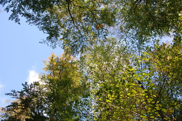 Herbst in Bad Salzdetfurth